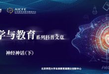 脑科学与教育蓝皮书:神经神话(下)-周然