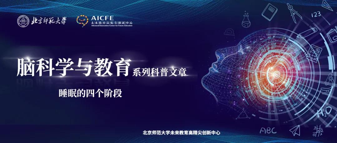 脑科学与教育：睡眠的四个阶段